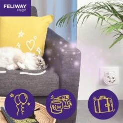 Feliway Help! 3x Nachfüllkartusche Zur Stressreduzierung -Ruffwear Magasin 7f1ce09ad09bf057f57273909ffb24fea8cb4379 1380137 5
