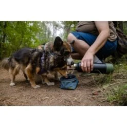 Ruffwear Great Basin™ Napf Schieferblau S -Ruffwear Magasin 824b44ccf17c67c3dd43e5523941633c95efed85 1651551 de DE fad827ec7223895423979e3215d64ffaeae47c26HGRUuZ