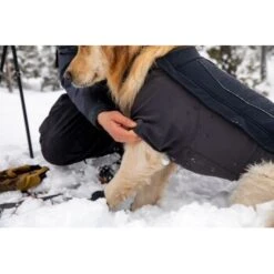Ruffwear Cloud Chaser™ Hundejacke Schwarz XXS -Ruffwear Magasin 839577c6525280e266f62f99f67ccc111fd75c4b 1369623 de DE 87ed046f15d6c099e4f33a0b92b8494c495a6d97bF4WS9