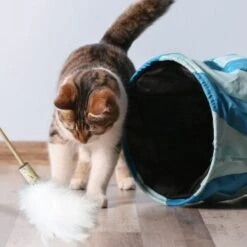 Kater Kasimir Premium Paket Mit 7 Beliebten Katzenspielzeugen Aus Naturmaterial -Ruffwear Magasin 84f221d79ef76f1b4f2f0037d329c11c6fce3a33 1408152 de DE 294269527f07b1898ca7562c986e956043828d3cA8xBpO