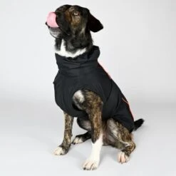 THE DOG IDEA Regenmantel Duke Schwarz XXXS -Ruffwear Magasin 863376961667ca6c294058e1841165455ef26486 1472973 de DE fd2a8283e08d439e84b2d44dedfefd70670ba2818PHr36