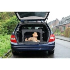 AniOne Traveller S -Ruffwear Magasin 8bad1cf4a40148f72620a3eb50f4a7ed585d3c59 1367559 de DE AniOne Traveller wb 10