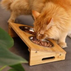 Lionto Futterstation Mit Bambusgestell 9 Lionto Futterstation Mit Bambusgestell -Ruffwear Magasin 8c56991d507e18b3df4a2f4045dbd93cd3bd9353 1665980 de DE aa6482f6e46fc6375e62da8010ac0599c0ca4960aJFeP6