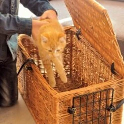 Aumüller Katzenhöhle Eckig -Ruffwear Magasin 8d87b362ac9438a292739b68c12353b34ae9f49f 1d1df7833ded5af56aedf174929409f94e84fa5b