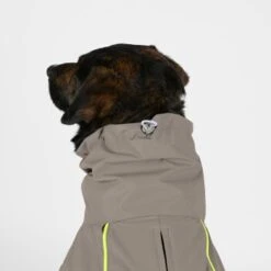 THE DOG IDEA Regenmantel Duke Greige XXXS -Ruffwear Magasin 8dcbd95e3fad08dc8356aa1853cd80e0cef160d5 1472991 de DE f008c6328f53fdeb03b8f1be4566f50f0f5d5589oxUaNU