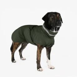 THE DOG IDEA Regenmantel Kayden Dunkelgrün XXXS -Ruffwear Magasin 8e1edff2e1ce2cd20f42f4cd20424a52daa78ad1 1681316 de DE 8641e0d326e4fbfe5bb478f23ddb388d14883be57XHtP2