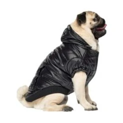 Canada Pooch Glänzende Pufferweste XXS 9 Canada Pooch Glänzende Pufferweste XXS -Ruffwear Magasin 8ec11177ec9f86d200ff22bc3e0c234ecff91e7e dfb5b396c833a1ace7625fc5796632bee13eda68