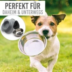 KaraLuna Napfunterlage Mit 4 Näpfen Grau 0,2 Cm³ 11 KaraLuna Napfunterlage Mit 4 Näpfen Grau 0,2 Cm³ -Ruffwear Magasin 91edc8a5264495986632e85e519ea0d6174baf34 1407482 de DE 86ec41c9cd718785d561e9ab479b800f47302bf9415Rf7