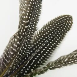 Schlitzohr Katzenangel Federanhänger 5x -Ruffwear Magasin 93b8e0c984d323f24d455bf8e74e2dbacef5703e 1484675 de DE 7b80f213f44ebcad765dbdebc25bf2d2f0177dbd64kHU2