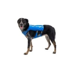 Ruffwear Trail Runner™ Weste Blau XS -Ruffwear Magasin 98442c3f4ada02dc38bbe918031392b2ba7e1943 1639640 de DE 57b978069b1aa95a705eb1af32811decb2e9cfecAOoih7