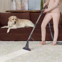 THOMAS DryBox Amfibia Pet -Ruffwear Magasin 9953282c61e03abd8b9e8af05edae29417570062 1406734 de DE 1c8fb73e21f9aae62063930fedd2d58afb94e8aanSOWPf