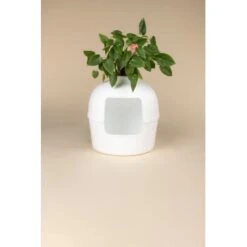 RHR Quality Katzentoilette Flower XXL -Ruffwear Magasin 9a175089ef2e18d9c2c6261d746d3512930c312f 1641853 de DE fe53414878bfaf3647b8be741b079914a6bd2e93iOsifJ