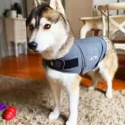 Thundershirt Beruhigungsweste Grau XS 21 Thundershirt Beruhigungsweste Grau XS -Ruffwear Magasin 9a1e301e33f1361e91f7c9989e135033c3825116 854880001141.PT09