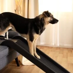 Lionto Hunderampe S -Ruffwear Magasin 9a27d9081358a028a1b72ead7080510044a8169e 1666004 de DE f64b973e1493edf7fe4f36b8d999583502db377cygQs3E