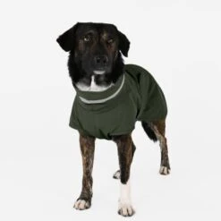 THE DOG IDEA Regenmantel Kayden Dunkelgrün XXXS -Ruffwear Magasin 9a668c504b3486a9b86c49e089604e2cd6aae5dc 1681316 de DE 64d44c6bd735967b4baec49248122e0f86b4bfe79BFyCh