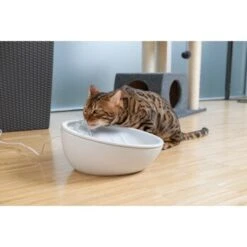 AniOne Keramik-Trinkbrunnen Waterfall Weiß Ohne Ersatzfilter 12 AniOne Keramik-Trinkbrunnen Waterfall Weiß Ohne Ersatzfilter -Ruffwear Magasin 9ab78e65ebaf72b76c537cd735c5a7cd6cd4d027 a897eca6393f48ff54c98954a2b189a96196cfbd