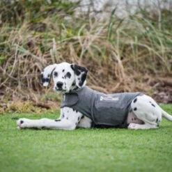 Thundershirt Beruhigungsweste Grau XS 19 Thundershirt Beruhigungsweste Grau XS -Ruffwear Magasin 9b6b99fb9c0e02a64cc609b7ca852c71d17d0d84 1102942 2