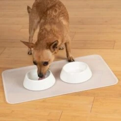 KaraLuna Basic Napfunterlage Transparent L -Ruffwear Magasin 9ba40d7c74ee8125e59b22c7e83e8b1c6e9b7d62 1407477 de DE 14497c23a79b7136237df13f9c32b5ed84fd5ff0LsA92E