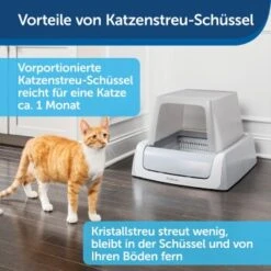 PetSafe ScoopFree Katzentoilette, Haube -Ruffwear Magasin 9f53ca90b171b847d777a219cd590baeb64c7e15 1368110 de DE be1af9fc2226731c8a8ce64e8c71ecd612a085e0SNiC7j