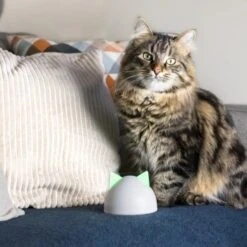 SureFlap Sure Petcare Hub -Ruffwear Magasin 9f5bfec8de043f4a92cd1437f562ae1683a10820 46ac2e41b6bc8ea03ea15881bcebd38d8c7bf830