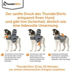 Thundershirt Beruhigungsweste Grau XS 17 Thundershirt Beruhigungsweste Grau XS -Ruffwear Magasin 9ff088bccc5f7d02926fc2c1845a1030d5e07bc3 1102942 5