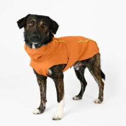 THE DOG IDEA Regenmantel Duke Orange XXXS -Ruffwear Magasin a1af009970fbe0d49b23b55aae3478442e9eb5e6 1473000 de DE e975935bd14ae10e3cbf4709cc9d05a6879844e2TUSiIw