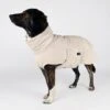 THE DOG IDEA Bademantel Every Beige XXXS -Ruffwear Magasin a1db1646b4141c7eccd253e178068dea5137fcc2 1472946 de DE c2ede737151d30f2d389a51576bfbe6d0d67757d7QtdbP