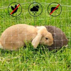 Lionto Katzennetz Inkl. Befestigung -Ruffwear Magasin ad1b651d8bcc461ab7a5d32a4c77b44e521cf768 1665913 de DE 7c500006d9abf3223e26fa8841d70bed2db024adIv4nbt