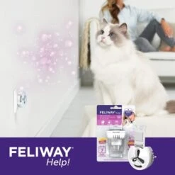 Feliway Help! 7 Tage Start-Set Zur Vorbeugung Von Stress -Ruffwear Magasin af221c57f6ccc9e6f3f372e52503a2d7b9cf22d4 1380136 5