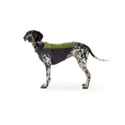 Ruffwear Climate Changer™ Fleece-Pullover Für Hunde Rot S -Ruffwear Magasin b28669818d8fcb81e0661ed639732808849f280a 1369661 de DE 64aaf340211e6364e47cd57e7a205b9b6074a78fHTZZhE