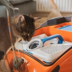 THOMAS AQUA+ Pet & Family -Ruffwear Magasin b29d283b30c65b5964c108db9c904b2f1515a2bd 1408595 de DE b994e116c03c39866ce7571239028dd963780376lYoXei