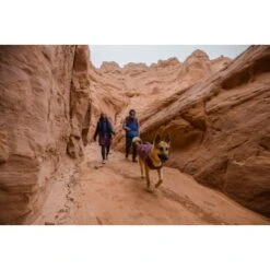 Ruffwear Overcoat Fuse™ Hundejacke Violett XXS -Ruffwear Magasin be1df80a58a073c4a06905f9850fdb02868343c3 1639761 de DE 6b99be5157e3de813670a6d4268b03b177d774edbPJ4YO