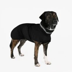 THE DOG IDEA Regenmantel Kayden Schwarz XXS -Ruffwear Magasin c18b23279d60151229230a78a82b6d6c3b74ebe5 1681338 de DE d78b0c566a495808908252ea5e111324b1c967883VlEnV