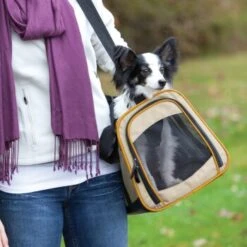Kurgo Tragetasche Wander Carrier -Ruffwear Magasin c2fd13e50f06a05677755b9100b8a9eeff46a7c3 1286389 3