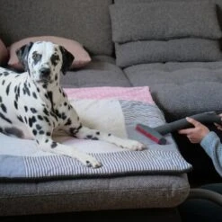 THOMAS AQUA+ Pet & Family -Ruffwear Magasin c3381bf4158feb85ebfd3f3d8bb59ef108b95290 1408595 de DE f1089c65a30ba894d2939997310129f1b316d2cdCtnGOW