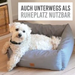 KaraLuna Autositz Kleine Hunde 12 KaraLuna Autositz Kleine Hunde -Ruffwear Magasin c43a66d74eef51b612eae7a548cb2b038009505b 1657442 de DE c74c72488e6718cfafbeff5d99ede07a37048260HkNpMo