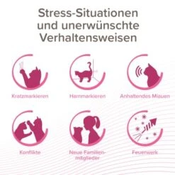 Beaphar CatComfort Excellence Starter-Kit 48ml -Ruffwear Magasin c5acac2221a0b2cf3e7346d9f61b6606812afde8 1416646 1 1