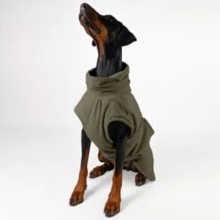 THE DOG IDEA Bademantel Every Khaki XXXS -Ruffwear Magasin c6567ee5fa23ab9a22b56936e6d4134ee2acea14 1473018 de DE 152849e6e27b535b9a56967a3d0992ac03ebbc6b46CQen
