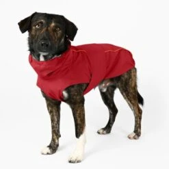 THE DOG IDEA Regenmantel Duke Rot XXXS -Ruffwear Magasin d083d3aa5bf7a92a10edd60af22366a875982303 1487619 de DE 658faa6557ddb291378da1b56ec73f187aaaca1eiubhAM