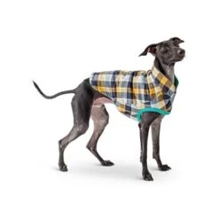 GF Pet Reversible Trail Jacke Grün XXS -Ruffwear Magasin d0d86a70089b79c26342e2430bae8caf960ccaed befa58813c2949e634e5b991f29c2ef187a974fc