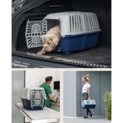 Lionto Transportbox Aus Plastik Dunkelblau S -Ruffwear Magasin d364b75af76fad3c0fec93f6ca004d6da24c4c4e 1657970 de DE 5fce1ea0239c94df7b5030ce7f0031e44a065aad0cy4Ox