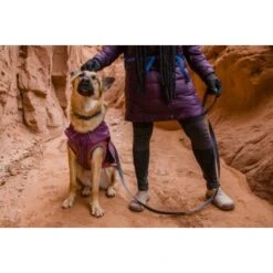 Ruffwear Overcoat Fuse™ Hundejacke Violett XXS -Ruffwear Magasin d3f94d44f6e67346b4db3fd52a9a9b783d58a1b6 1639761 de DE f363d728c6c2883bd7afb3f30f0490bc0ed64f63oUWWPq
