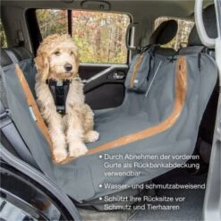 Kurgo Wander-Autohängematte Für Hunde Schwarz -Ruffwear Magasin d613a293a967d84f45284ce69dda3387bc210fd2 1262326 de DE 2c8f8b7a604c6a54f611119c1874a2802e124e86sHcZLh