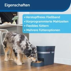 PetSafe Futterautomat Smart Feed -Ruffwear Magasin d75d18a8d69305d41cdc15b6cd1407ea0bf1197e 1418722 de DE b6612f513df2cce528e0e17914e20260d63a2356T5GctK