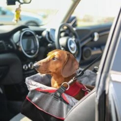 KONG Autositz Booster -Ruffwear Magasin da5a6f6bf09b649e9026b41a00dfde740dc53650 926bd0d2f09bb651acb8b3ebfee5cc340cccaf62