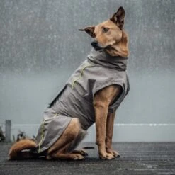 THE DOG IDEA Regenmantel Duke Greige XXXS -Ruffwear Magasin dc82a9340ce92f7125e10d75d52d5098b8ba706b 1472991 de DE 4641a977330b029676e34b22597de7e3842e9541qXIb4u