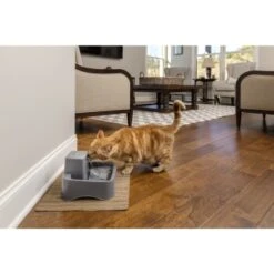 PetSafe Trinkbrunnen 1,8 L 15 PetSafe Trinkbrunnen 1,8 L -Ruffwear Magasin df488cf045110a6e0d24fcded3d81de07583d88a 1323706 7