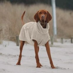 THE DOG IDEA Bademantel Every Beige XXXS -Ruffwear Magasin e3729773c9f5b61c18a464eeb5076e81a866013e 1472946 de DE ac504db57b88122680c4cb56470ea23721b69c99VnzO7V