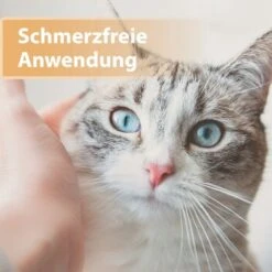 Felisept Wundgel 20ml -Ruffwear Magasin e40e3e95a03fb00c1318f0e5b318422377d5a3ac 1396291 de DE e6f6116196c434f816ff510902765d32eaff788cDpbYBX