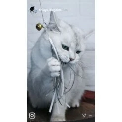 Kater Kasimir Premium Katzenangel Mit 4 Handgemachten Anhängern Aus Naturmaterial -Ruffwear Magasin e6fe48d27b82d48675d665ee2a143e3c11de2fd9 1408150 de DE b29a5f7f2530ce6388e16e2600369d70b2ec0350kYn6B8